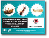 pest control services direct mail postcards