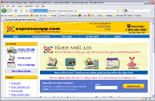 new site new site
