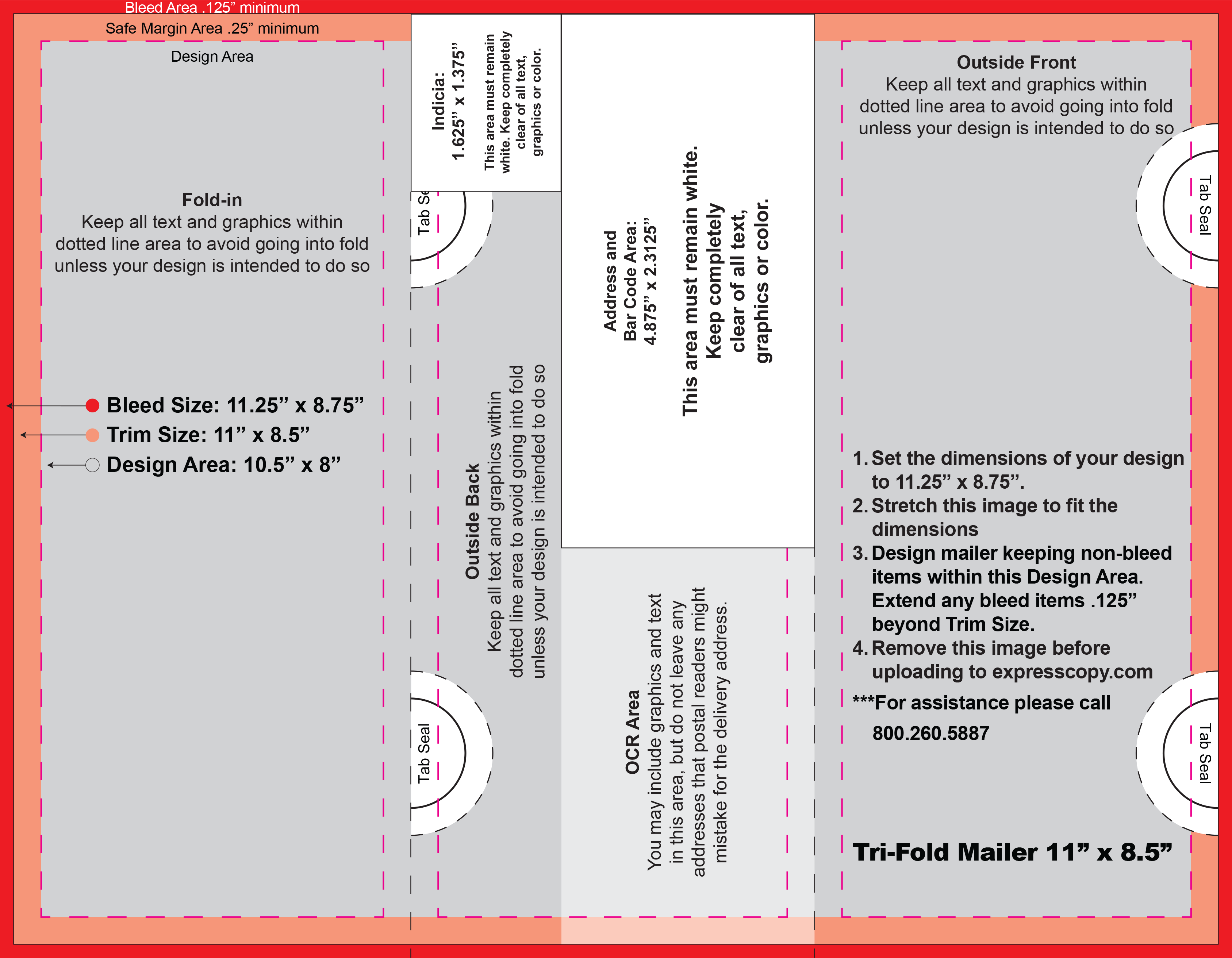 Trifold Mailer Template from www.expresscopy.com